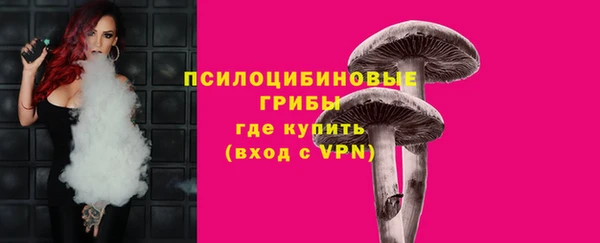 круглые Алзамай