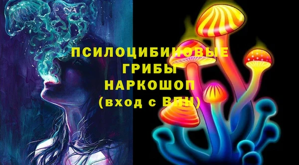 круглые Алзамай