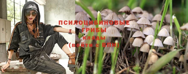 круглые Алзамай