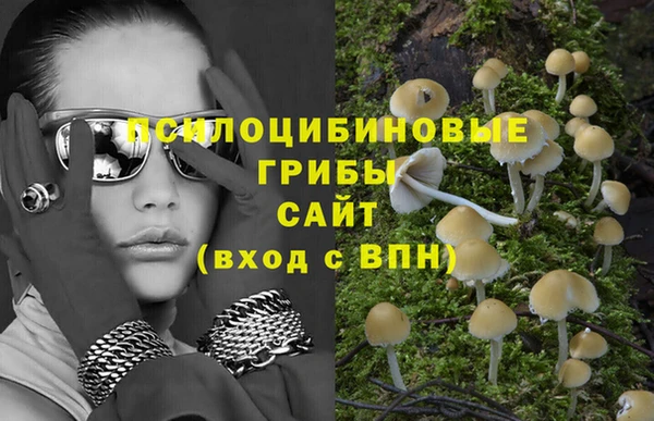 круглые Алзамай
